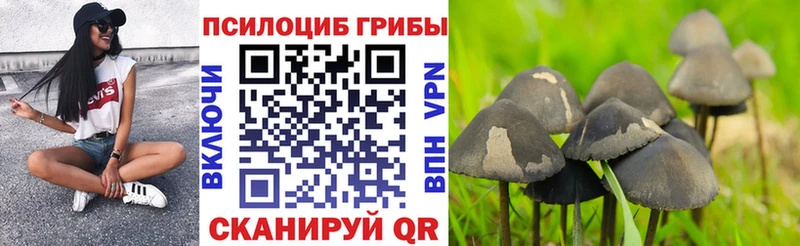 MEGA рабочий сайт  Шарья  Псилоцибиновые грибы Cubensis 